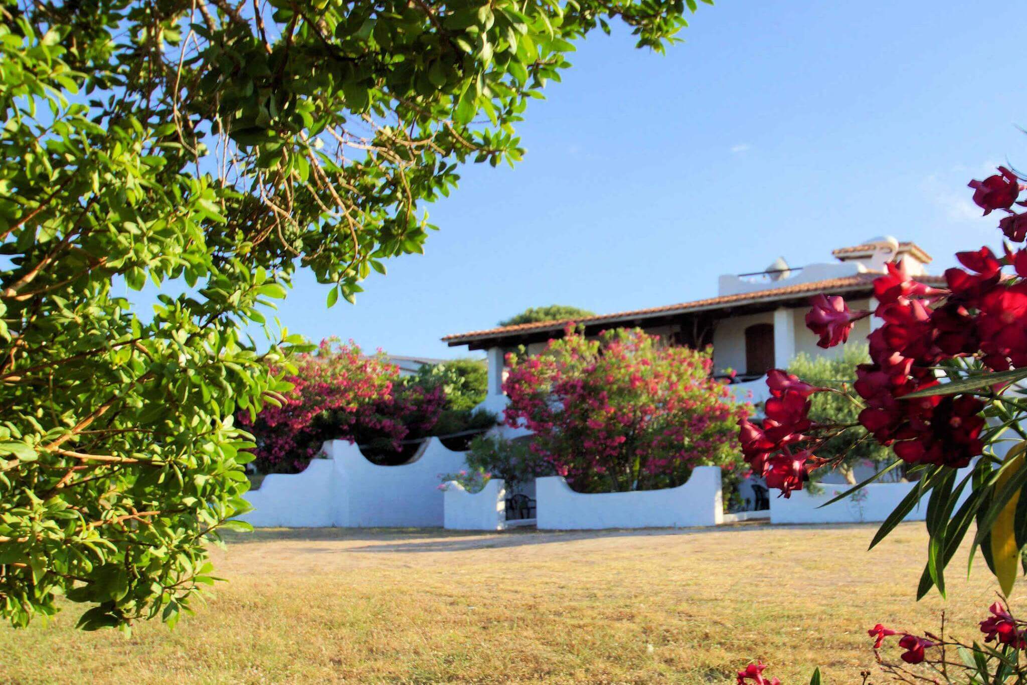 2068) Carlotta sotto, Valledoria