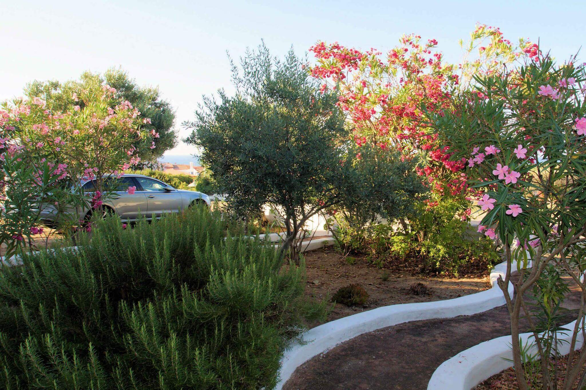 2070) Carlotta sotto, Valledoria