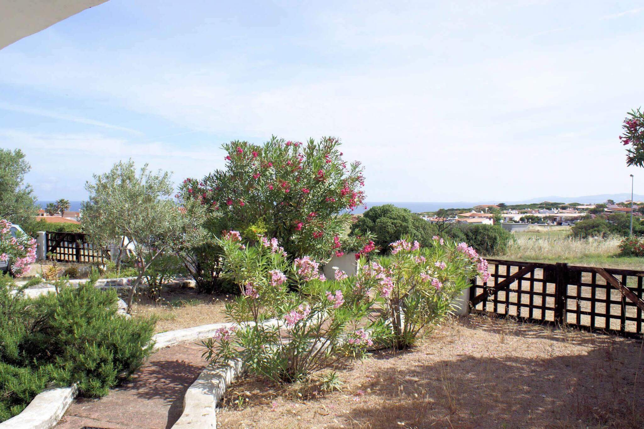 2074) Carlotta sotto, Valledoria