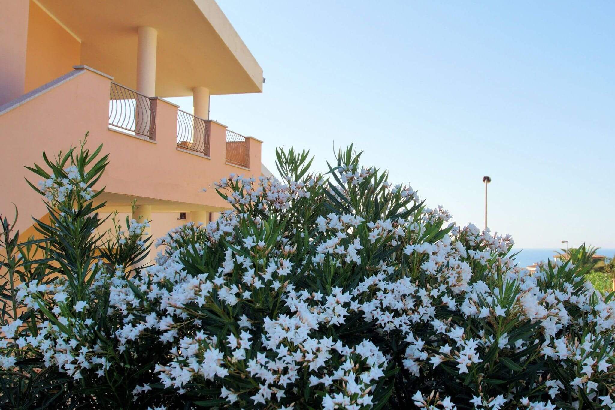 825) Solevacanze C3, Valledoria