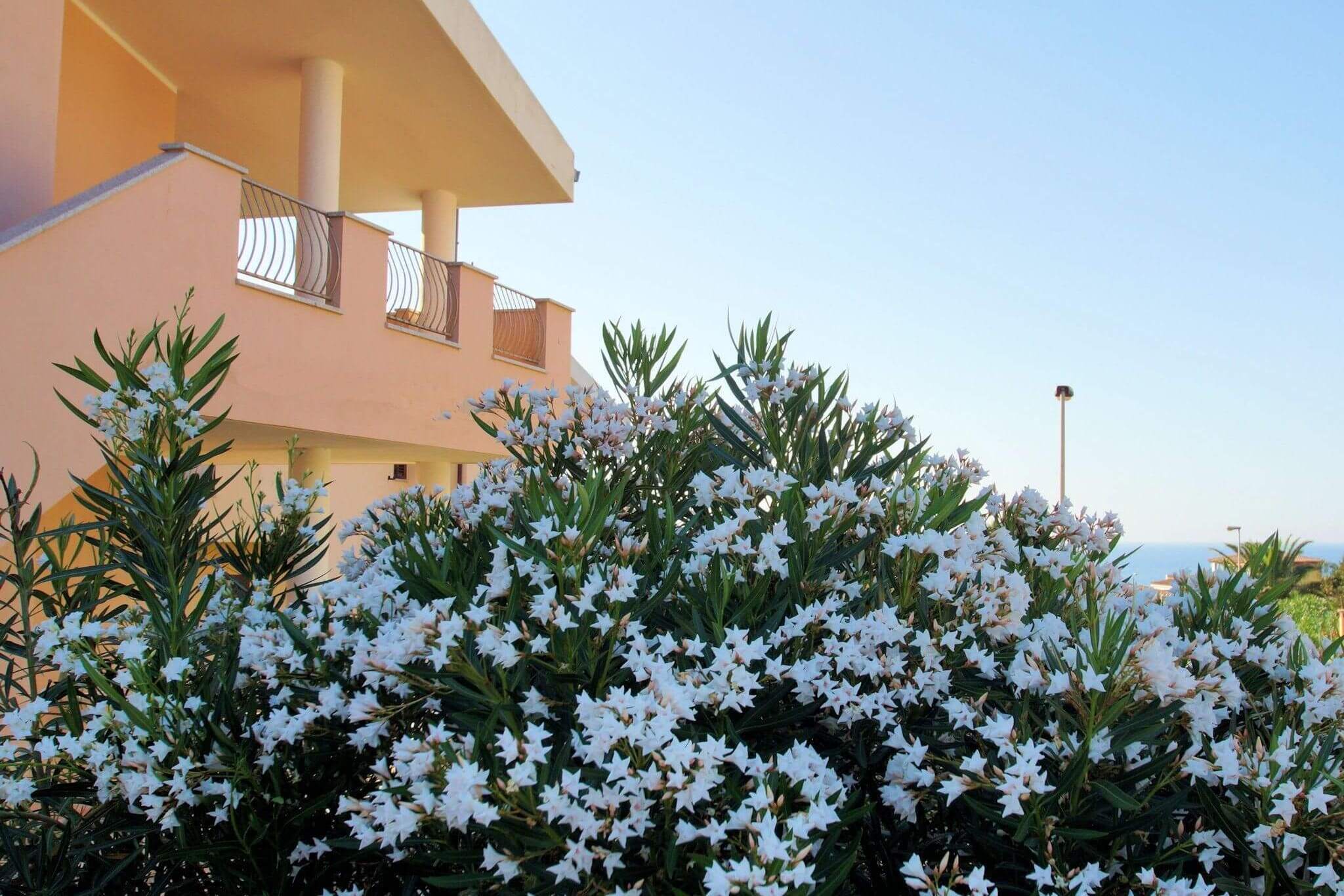 802) Solevacanze A5, Valledoria