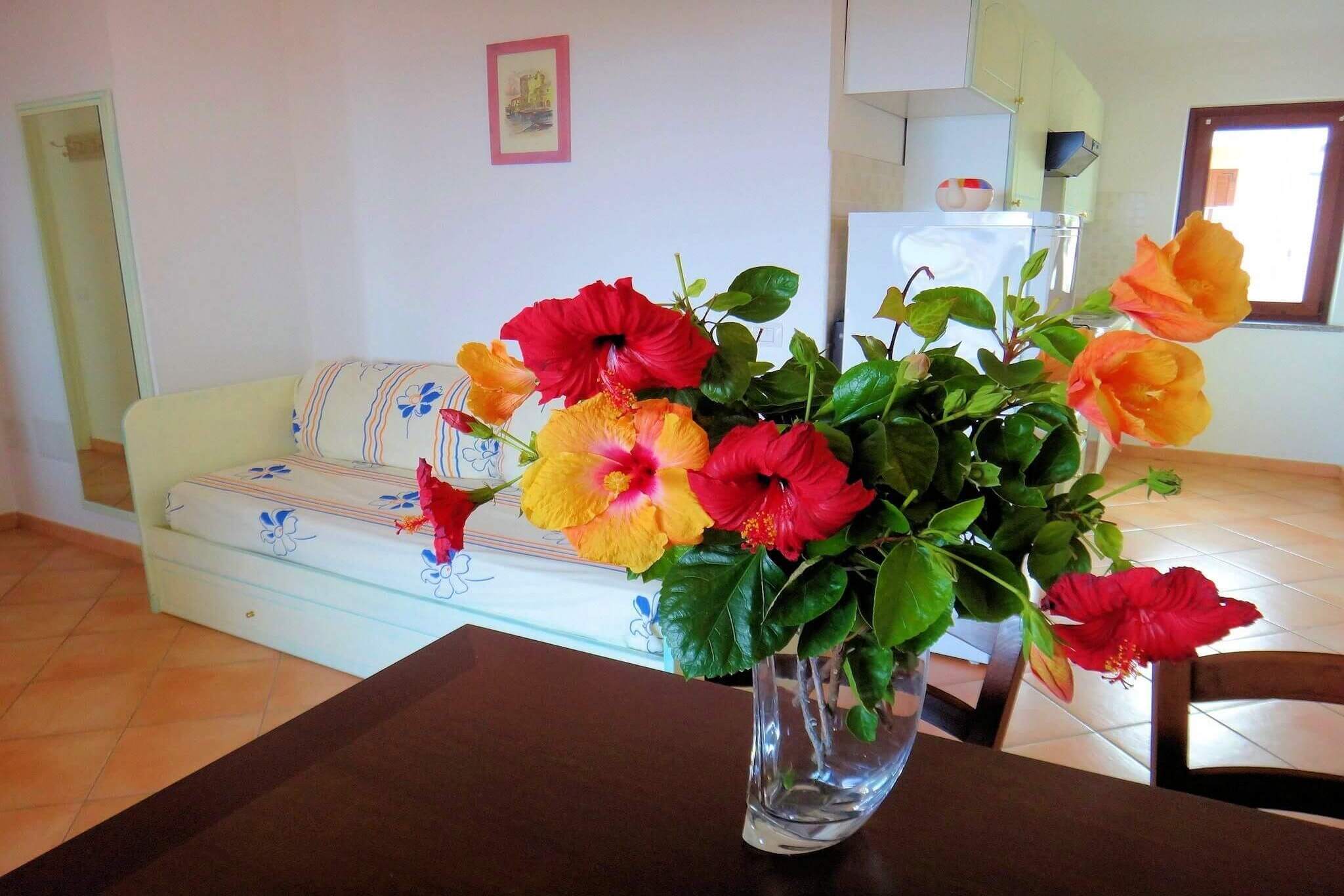 839) Solevacanze A6, Valledoria